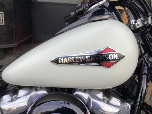 2019 Harley-Davidson Softail