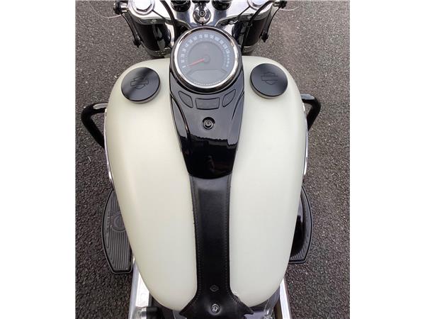 2019 Harley-Davidson Softail