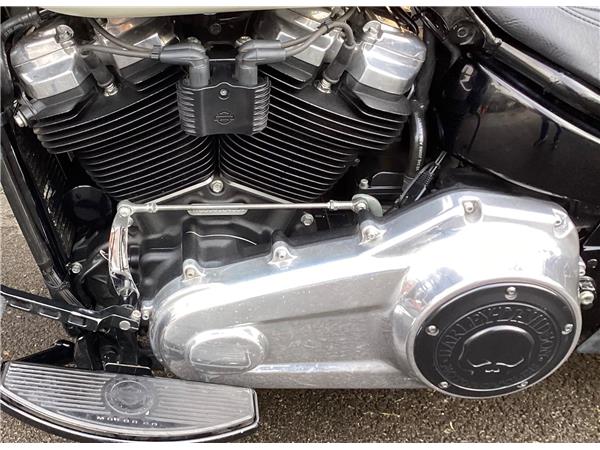 2019 Harley-Davidson Softail