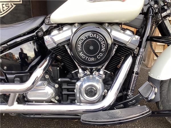 2019 Harley-Davidson Softail