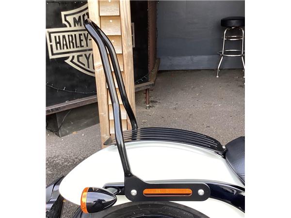 2019 Harley-Davidson Softail