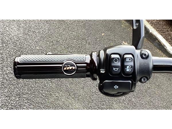 2019 Harley-Davidson Softail