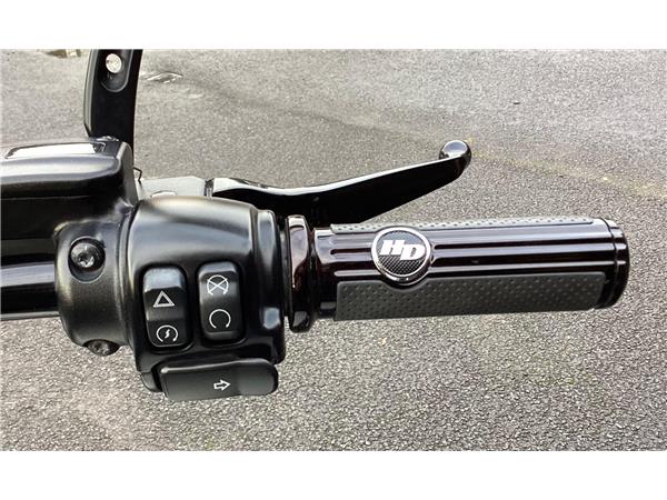 2019 Harley-Davidson Softail