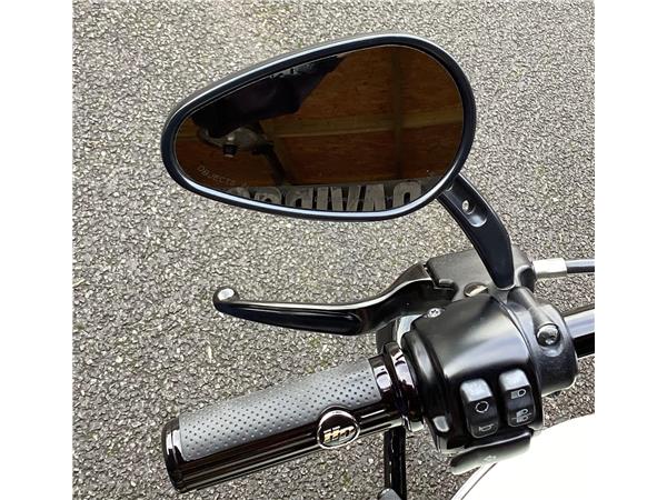 2019 Harley-Davidson Softail