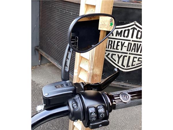 2019 Harley-Davidson Softail