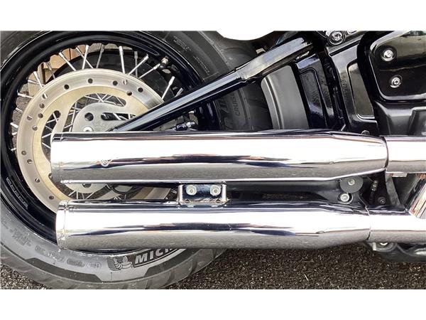 2019 Harley-Davidson Softail