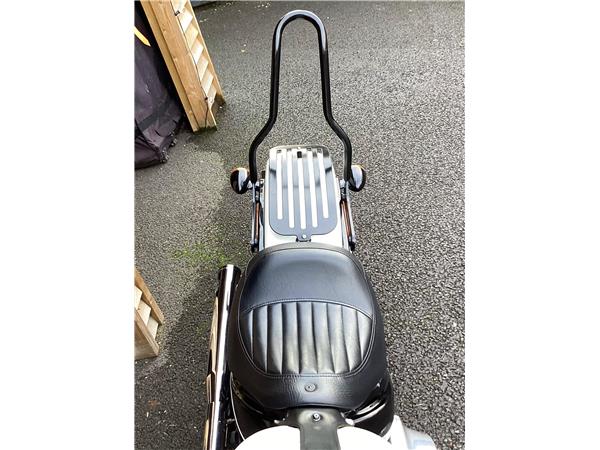 2019 Harley-Davidson Softail