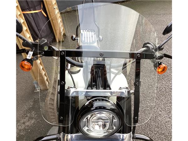 2019 Harley-Davidson Softail