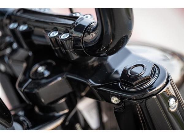 2024 harley-davidson FLFBS Fat Boy 114