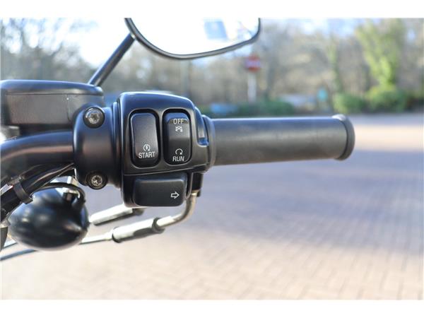 2011 HARLEY-DAVIDSON SPORTSTER XL883N IRON