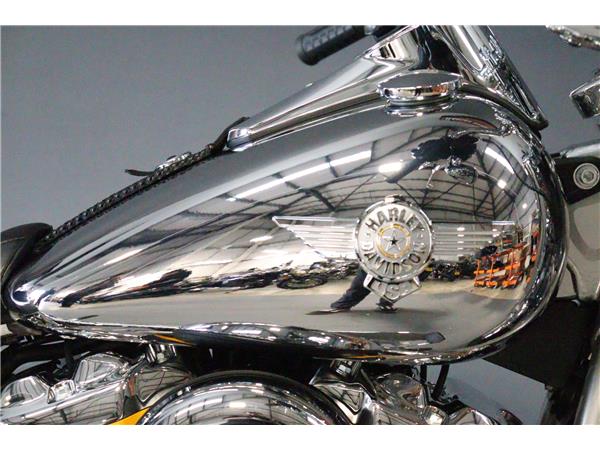 2025 HARLEY-DAVIDSON SOFTAIL FLFB FAT BOY