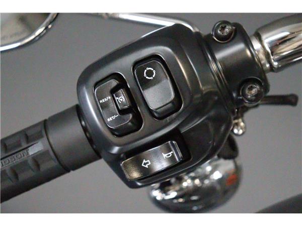 2025 HARLEY-DAVIDSON SOFTAIL FLFB FAT BOY