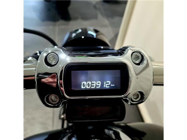 HARLEY-DAVIDSON BREAKOUT 117