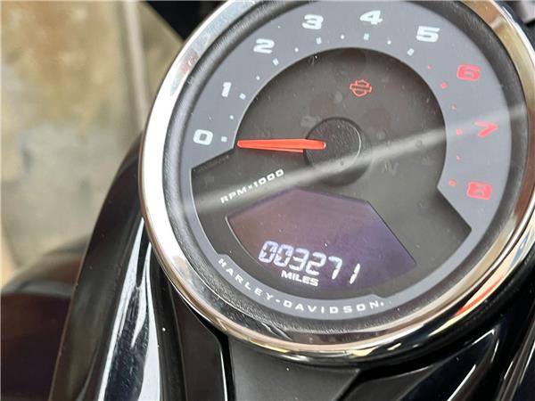 2022 Harley-Davidson Softail