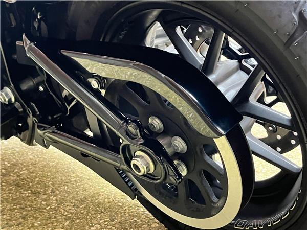 2022 Harley-Davidson Softail