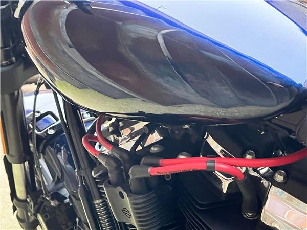 2022 Harley-Davidson Softail