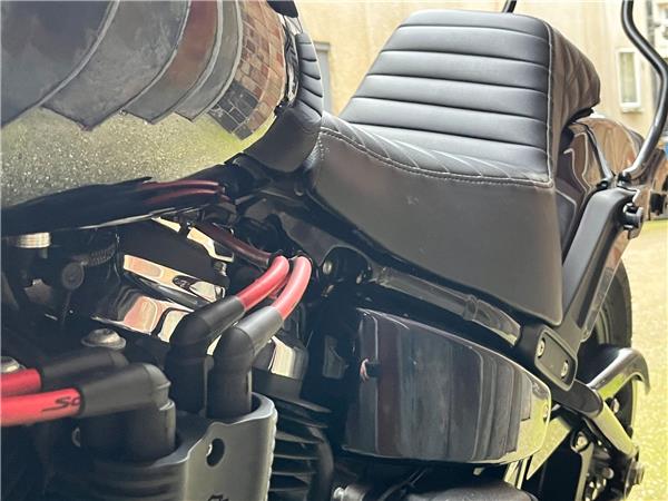 2022 Harley-Davidson Softail