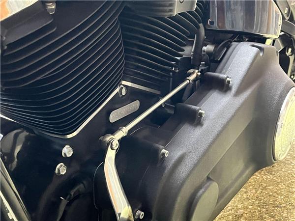 2022 Harley-Davidson Softail