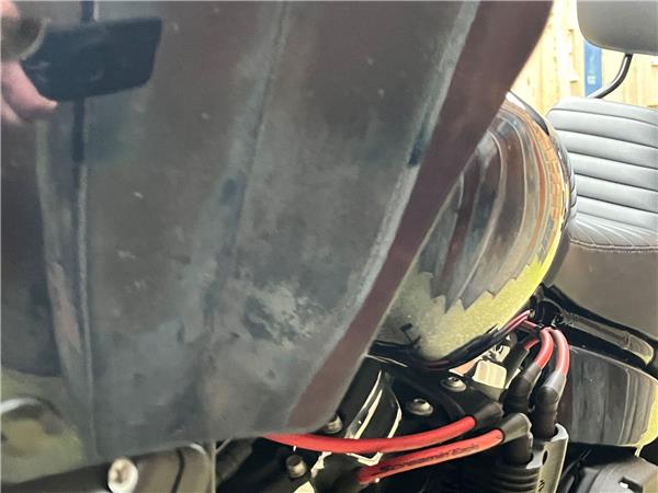 2022 Harley-Davidson Softail