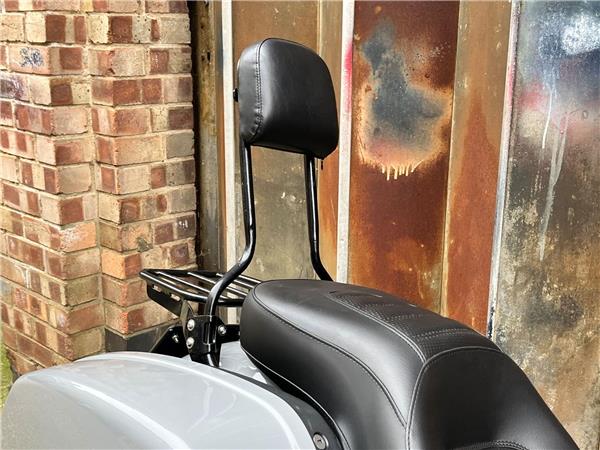 2024 Harley-Davidson Softail