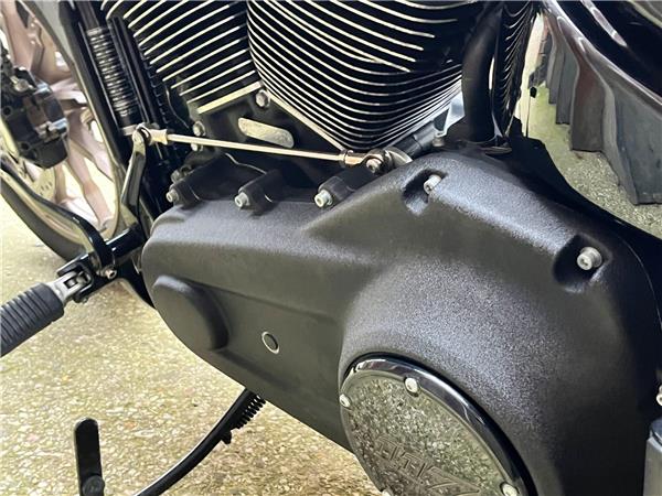 2024 Harley-Davidson Softail