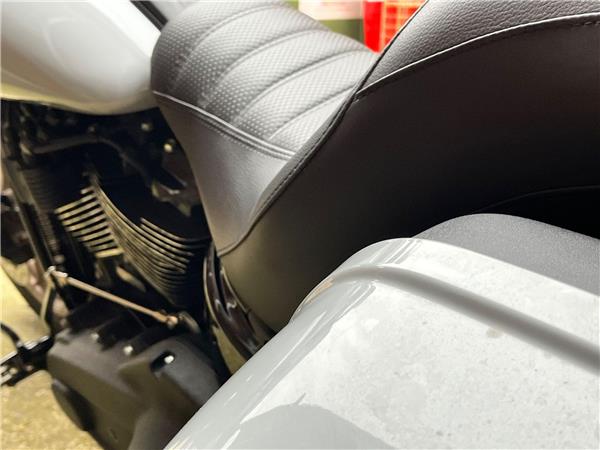 2024 Harley-Davidson Softail