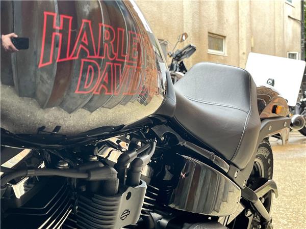 2025 Harley-Davidson Softail