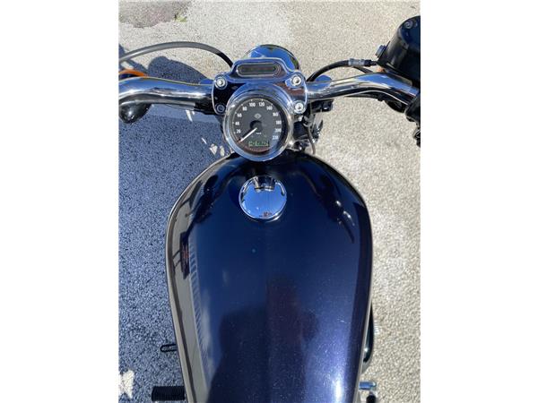 2019 HARLEY-DAVIDSON CUSTOM