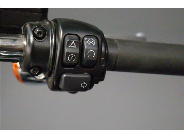 2019 HARLEY-DAVIDSON SOFTAIL FXLR LOWRIDER