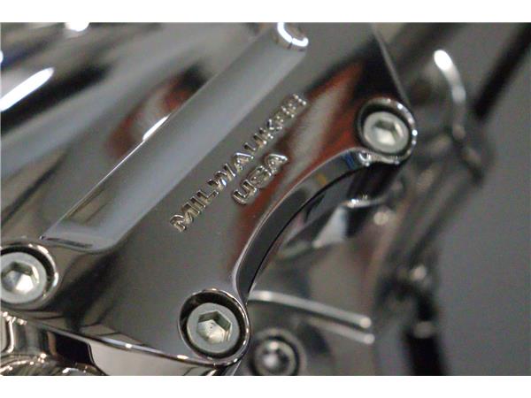 2019 HARLEY-DAVIDSON SOFTAIL FXLR LOWRIDER