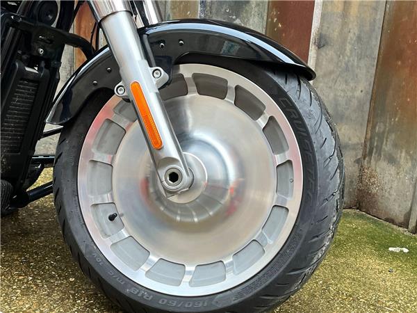 2021 Harley-Davidson Softail