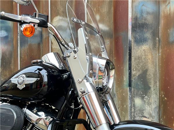 2021 Harley-Davidson Softail