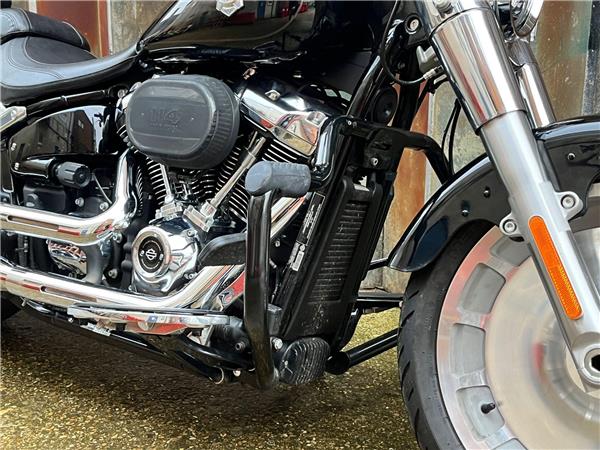 2021 Harley-Davidson Softail