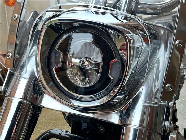 2021 Harley-Davidson Softail