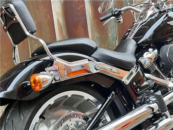 2021 Harley-Davidson Softail