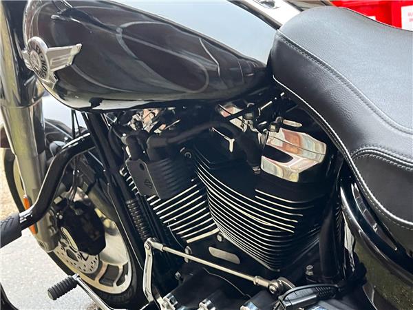 2021 Harley-Davidson Softail