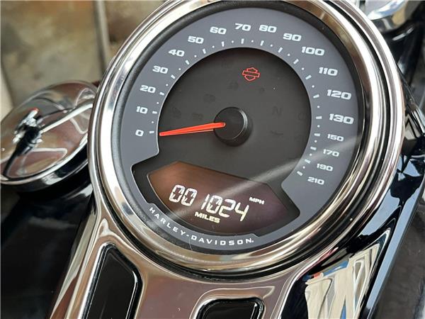 2021 Harley-Davidson Softail