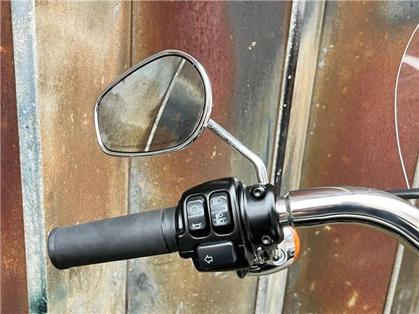 2021 Harley-Davidson Softail