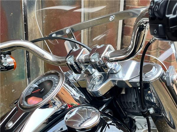 2021 Harley-Davidson Softail