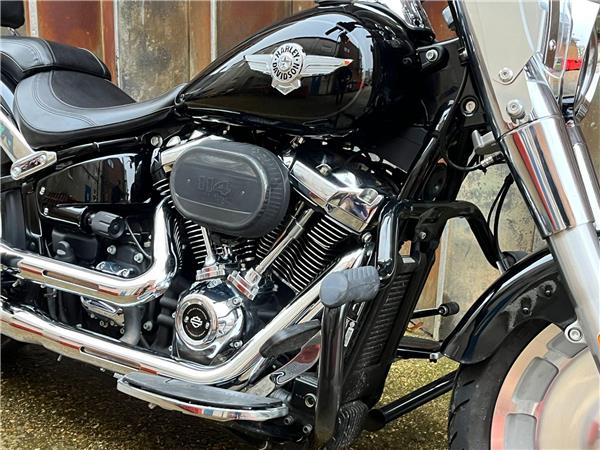 2021 Harley-Davidson Softail