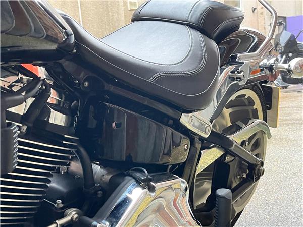 2021 Harley-Davidson Softail