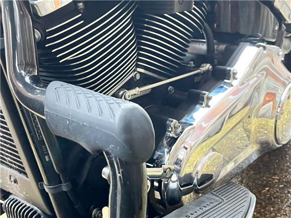 2021 Harley-Davidson Softail