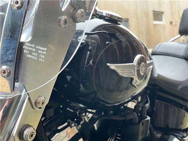 2021 Harley-Davidson Softail