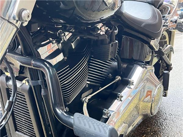 2021 Harley-Davidson Softail