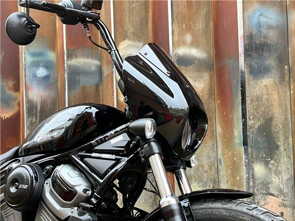 2022 Harley-Davidson Sportster