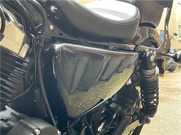 2019 Harley-Davidson Sportster