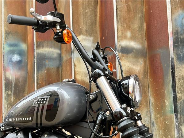 2022 Harley-Davidson Softail