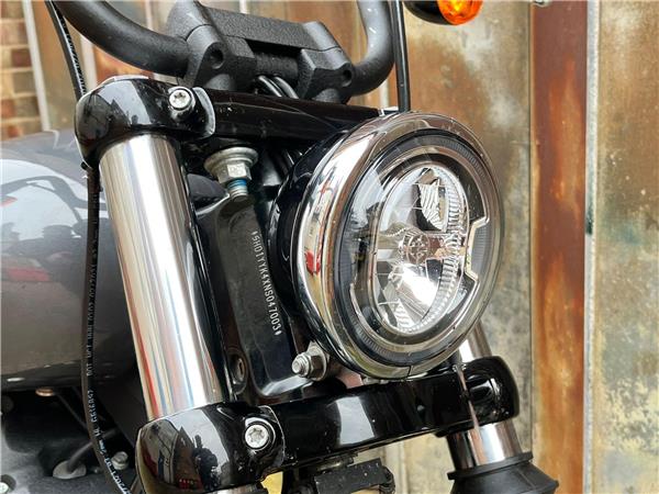 2022 Harley-Davidson Softail