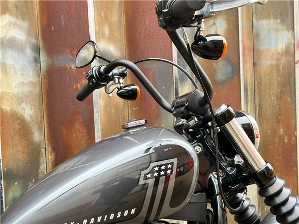 2022 Harley-Davidson Softail