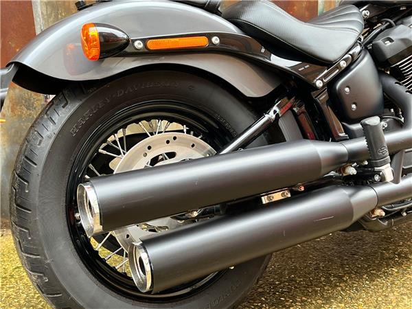 2022 Harley-Davidson Softail